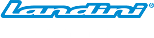 LANDINI_Logo